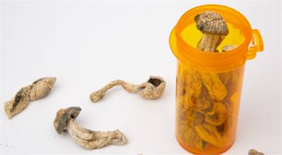 BUY PSILOCYBE MICRODOSE FAST SHIPPING UNITED STATES